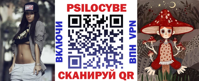 закладки  Брянск  Псилоцибиновые грибы GOLDEN TEACHER 
